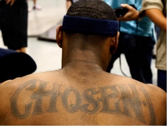 性回合增加 性回合增加